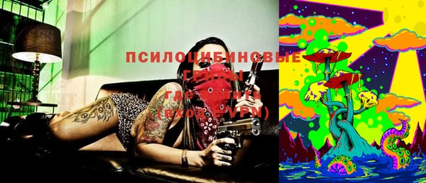 прущий лед Протвино