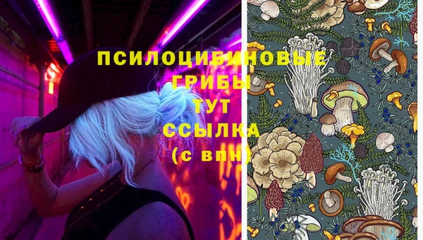 не бодяженный Приозерск
