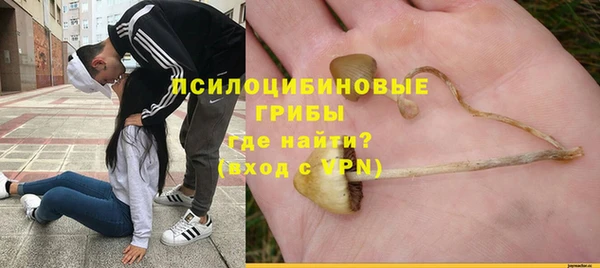 спайс Пролетарск