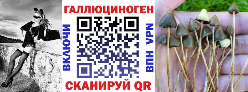 Псилоцибиновые грибы Psilocybine cubensis  Купить где  Кыштым 